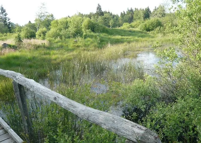In Monschau With Swimming Pool Feriehus Monschau